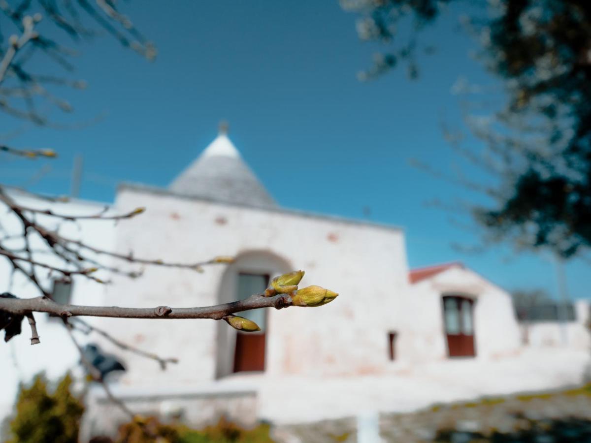 ألبيروبيللو Rifugio Di Puglia - Trulli & Dimore المظهر الخارجي الصورة
